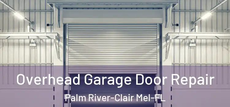  Overhead Garage Door Repair Palm River-Clair Mel-FL